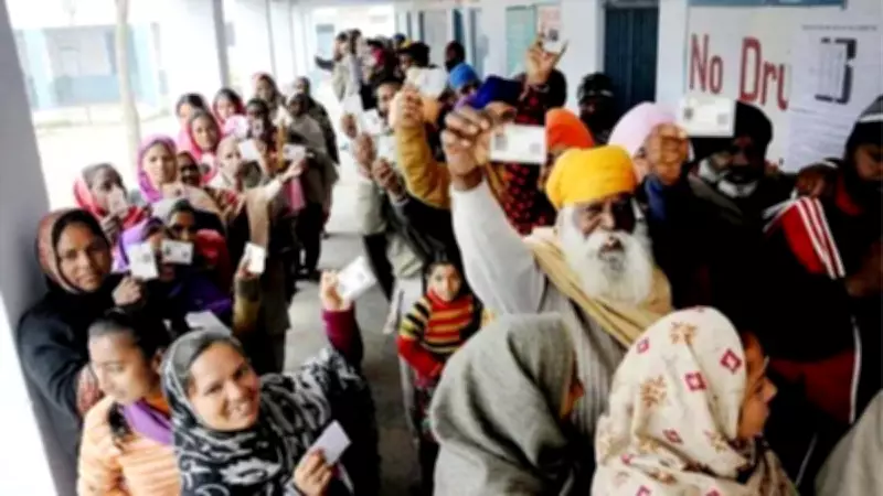 Punjab Civic Body Results 2026: AAP Leads in Key Municipalities