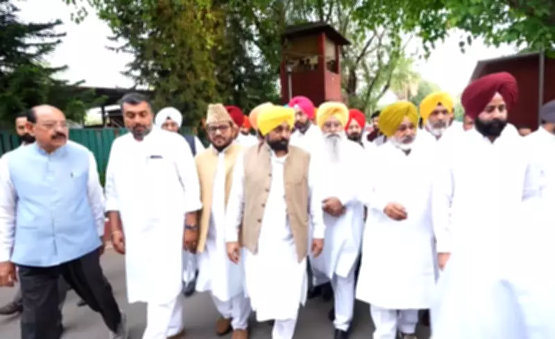 Punjab CM Mann Meets President Murmu After AAP MPs Merger with BJP