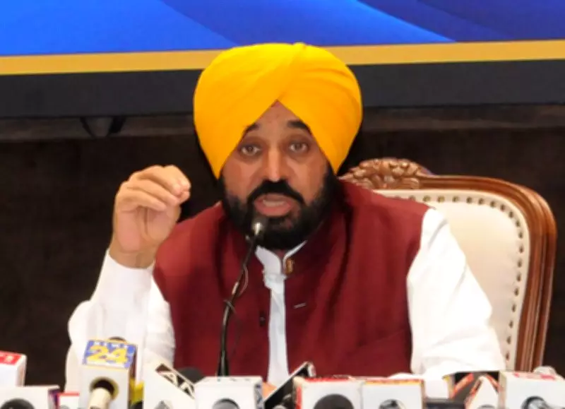 Punjab CM Mann: New Anti-Sacrilege Law to Ensure Strict Punishment, Mental Illness Excuse Won't Work