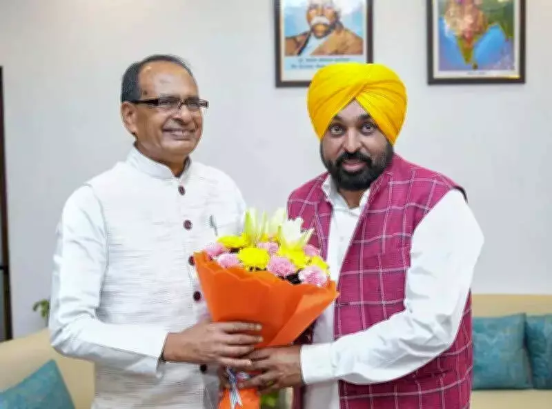Punjab CM Mann seeks Centre's intervention on hybrid paddy seeds, fertiliser supply