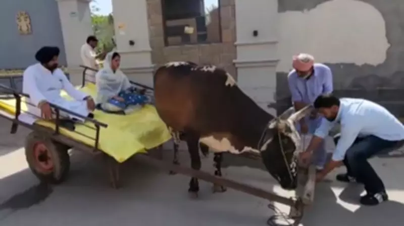Punjab Congress Chief Warring, Wife Arrive at Polling Booth on Bullock Cart, Slam Centre Over Fuel Price Hike