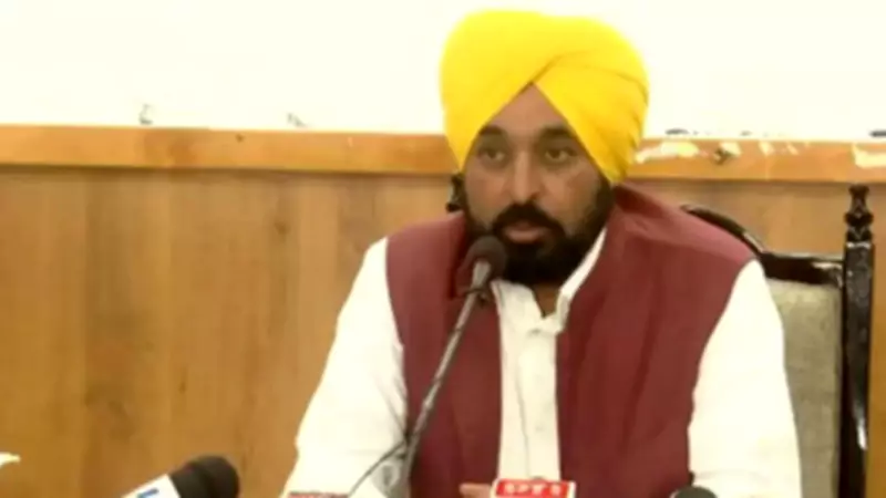 Punjab Launches Campaign Against Stray Dogs, Follows SC Order