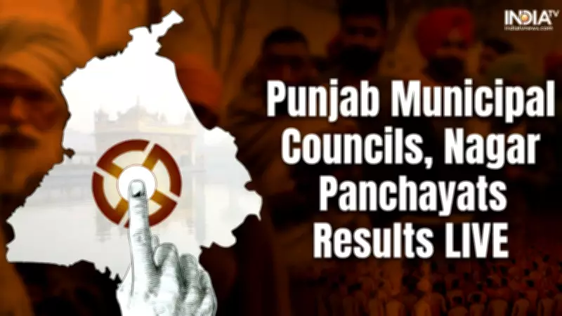 Punjab Local Body Elections 2026: AAP Dominates Municipal Councils, Nagar Panchayats