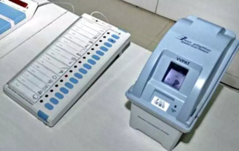 Punjab MC Polls: 1175 File Nominations on Last Day in Mohali Region