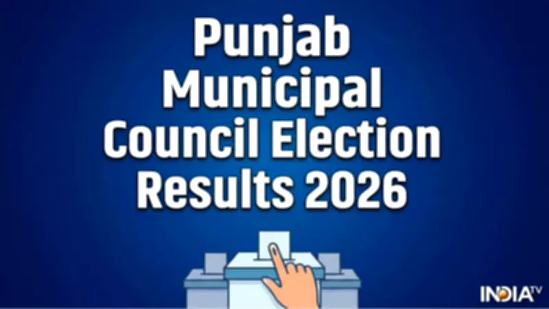Punjab Municipal Council Election Results 2026: BJP Makes Gains, AAP Holds Ground