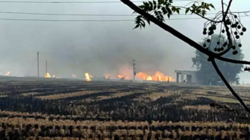 Punjab Records 267 New Stubble Burning Cases, Season Tally at 8,986