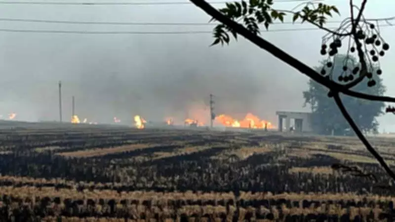 Punjab Records 9,452 Stubble Burning Cases This Kharif Season, Ferozepur Worst Hit