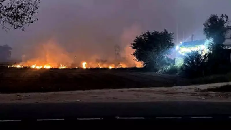 Punjab Records Highest Single-Day Stubble Burning Cases This Season
