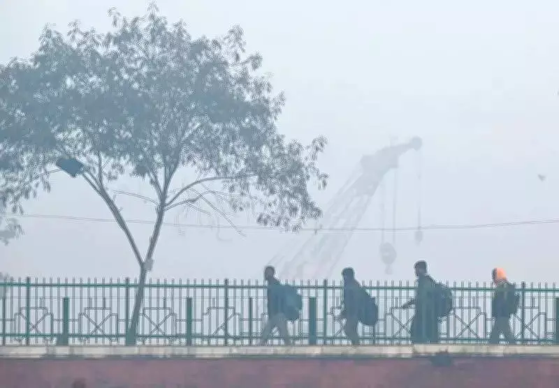 Punjab Records Second Highest Cold Deaths in India in 2024: NCRB