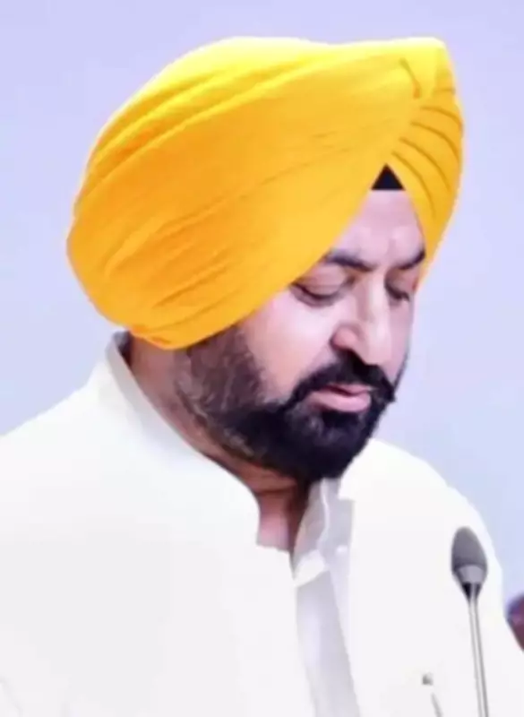 Punjab Releases Rs 100 Crore for Flood Preparedness Ahead of Monsoon