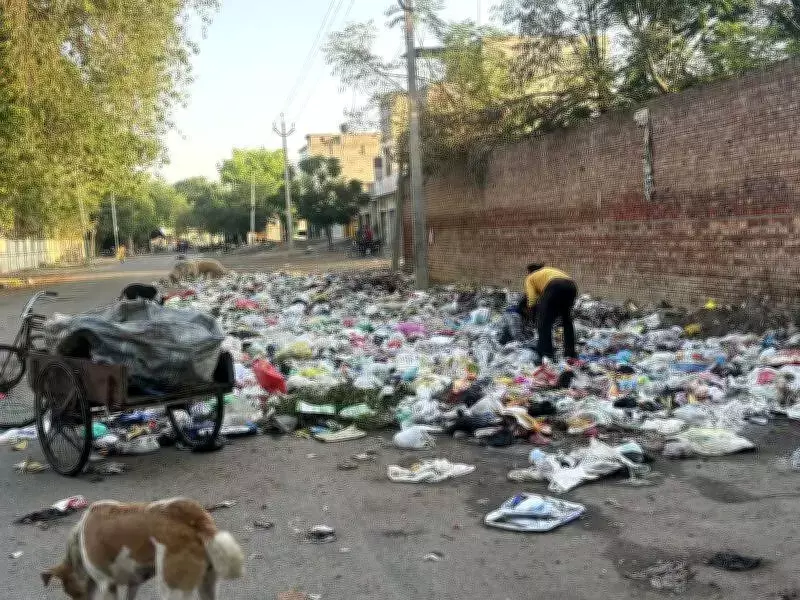 Punjab Sanitation Workers Call Off 16-Day Strike After Govt Assurance