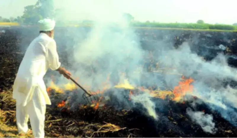 Punjab Sees Dip in Farm Fires After 9-Day Surge, 39 Cases on May 6