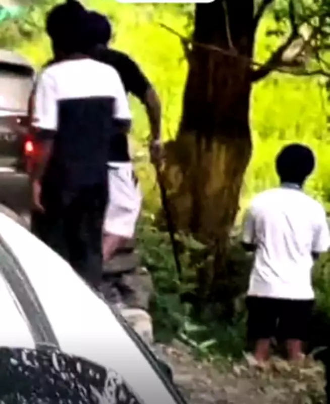 Punjab Tourists Attack Kullu Residents with Swords After Hitting Pedestrian