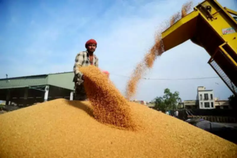 Punjab Wheat Procurement Nears End, Lifting of Grain Remains a Concern