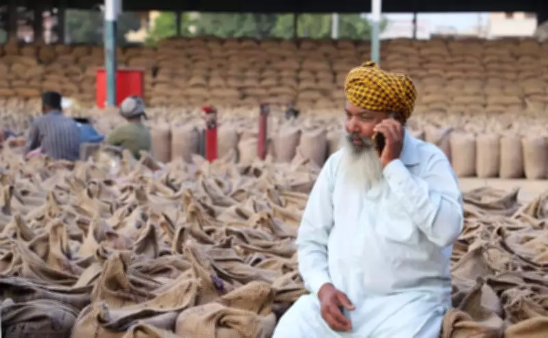 Punjab Wheat Procurement Nears Target as 2306 Centres Shut