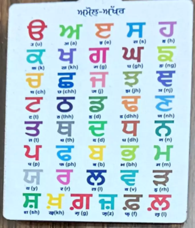 Punjabi Language Act Enforcement Meeting Held in Jalandhar District