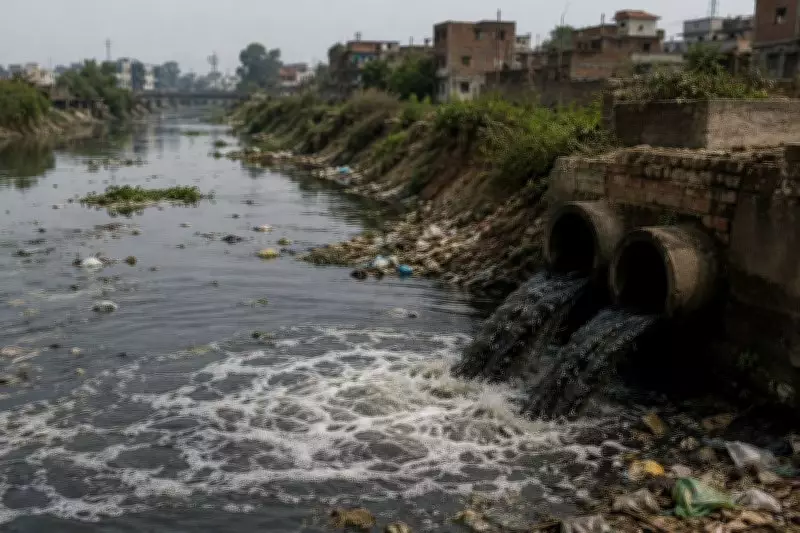 Punjab's Poisoned Canals and Environmental Governance Crisis