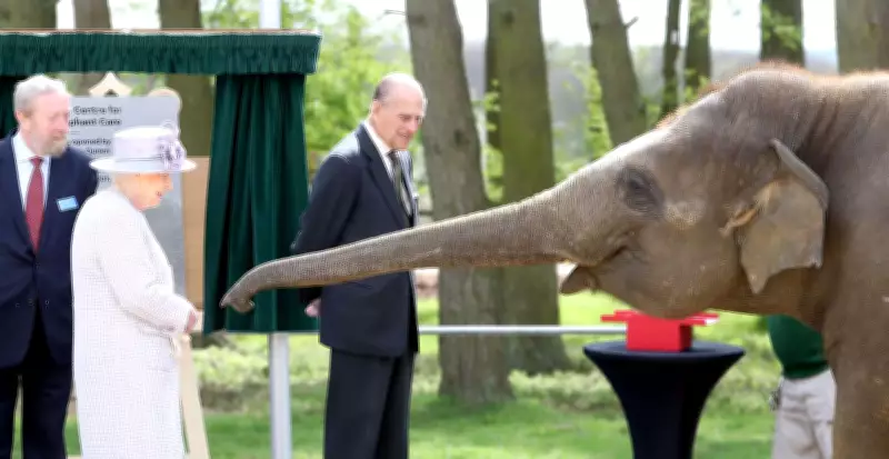 Queen Elizabeth II and Prince Philip Feeding Elephant Donna: A Rare Human Side of Royalty