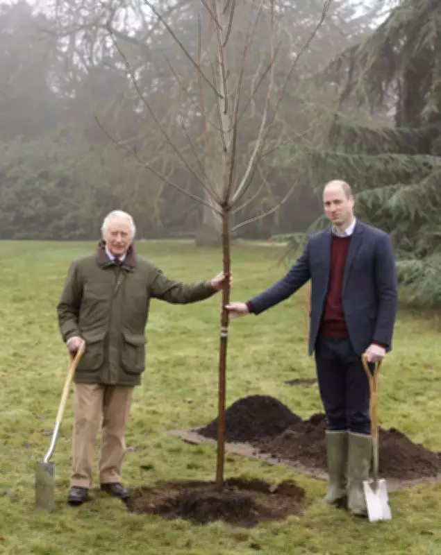 Queen's Green Canopy: A Living Tribute for Platinum Jubilee