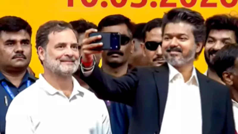 Rahul Gandhi Congratulates Thalapathy Vijay as New Tamil Nadu CM