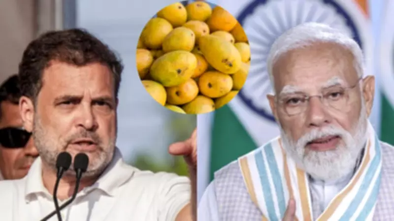 Rahul Gandhi Slams Modi Over CBSE OSM Row, Says PM Talks Mangoes Not Students