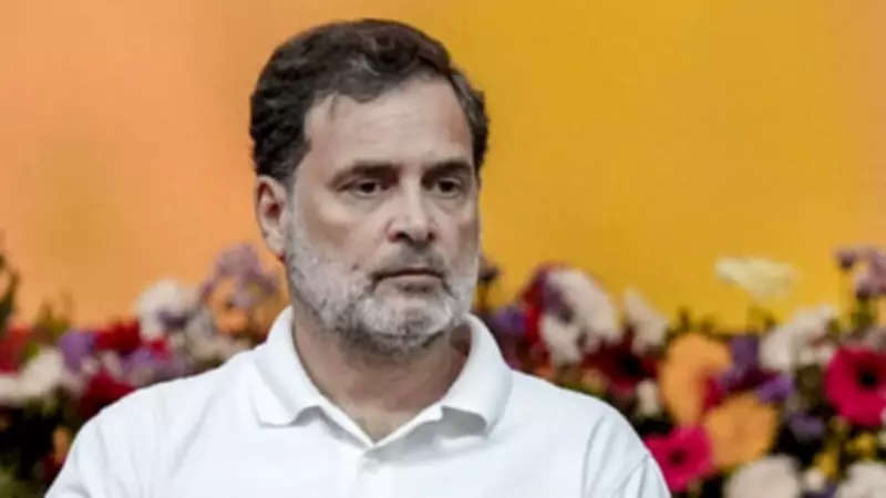 Rahul Gandhi Submits Dissent Note on CBI Chief Selection, Says LoP Not a Rubber Stamp