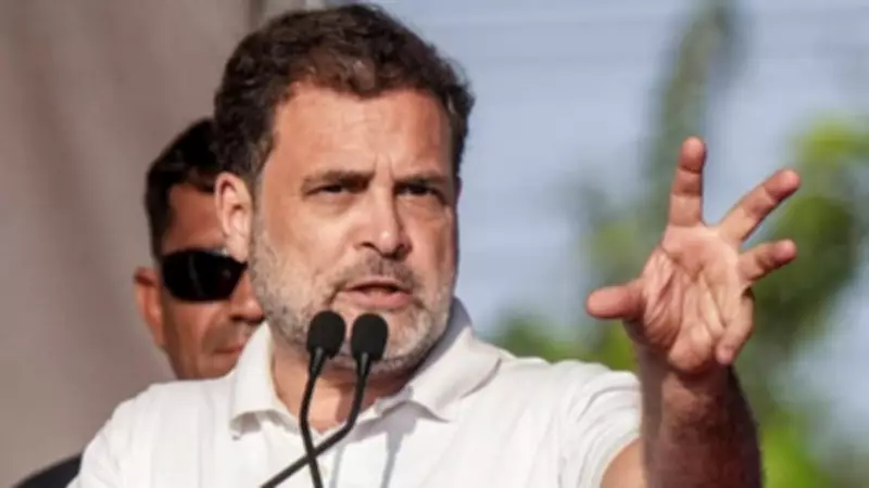 Rahul Gandhi Warns of 'Economic Storm' Under Modi Government