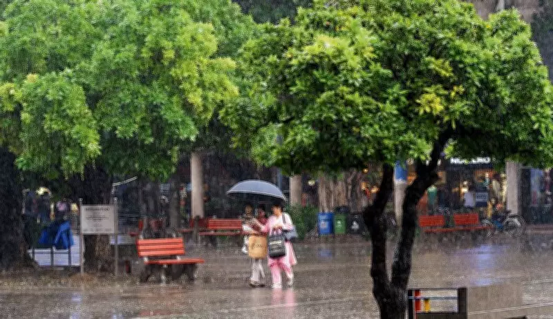 Rain Cools Punjab, Haryana; Wet Spell to Continue Till June 1