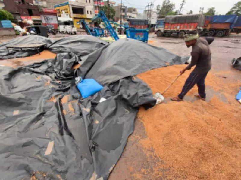 Rain Exposes Cracks at Ludhiana's Gill Road Grain Market