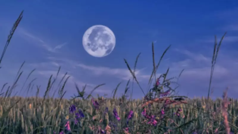 Rare Blue Moon and Micromoon to Light Up Weekend Sky