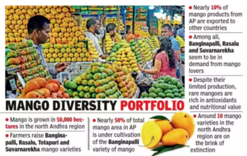Rare Mango Varieties Facing Extinction in North Coastal Andhra