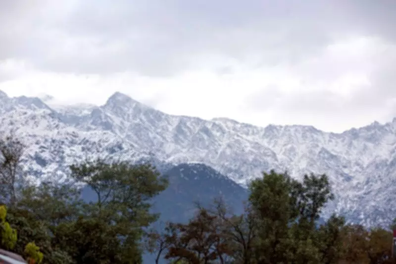 Rare May Snowfall in Dhauladhar Brings Chill, Rainfall Cools Kangra
