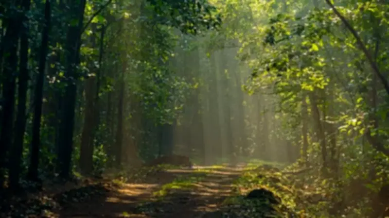 Regulate Forest Trails, Don't Shut Them Down: A Balanced Approach