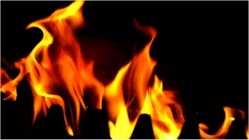 Retired IAS Officer Dies in Delhi AC Blast Fire at Hauz Khas Home