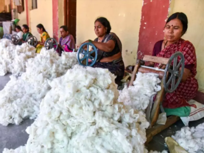 Reviving Cotton Sector: Real Challenge Lies in Ground-Level Execution