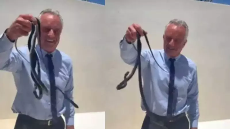 RFK Jr Picks Up Snakes on Patio in Viral Florida Video