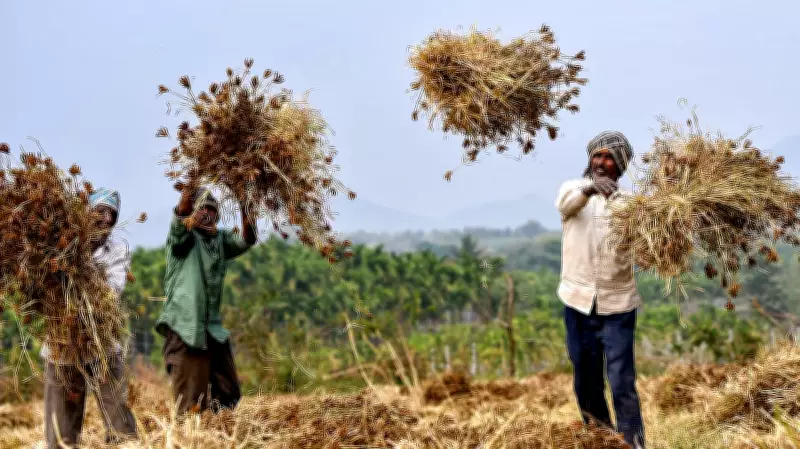 Rising Risks of a Changing Monsoon in India
