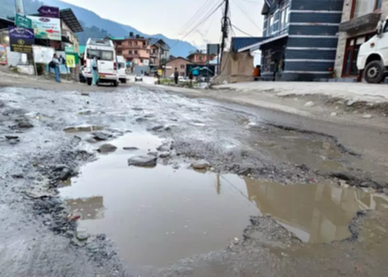 Road to Ruin: Manali-Naggar Stretch Hits Tourism Hard