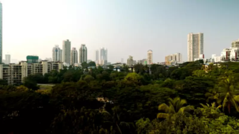 Roads vs Trees: How Mumbai's Planners Are Destroying the City
