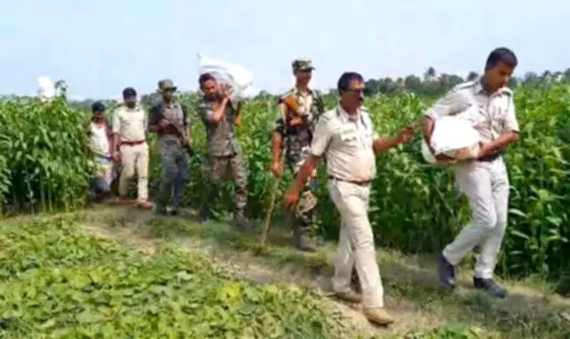 Rs 2.24 Crore Cash Buried in Jute Field Seized After Chairman's Arrest