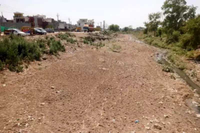 Rs 4 Crore Cleaning Work Order Sparks Controversy in Mohali