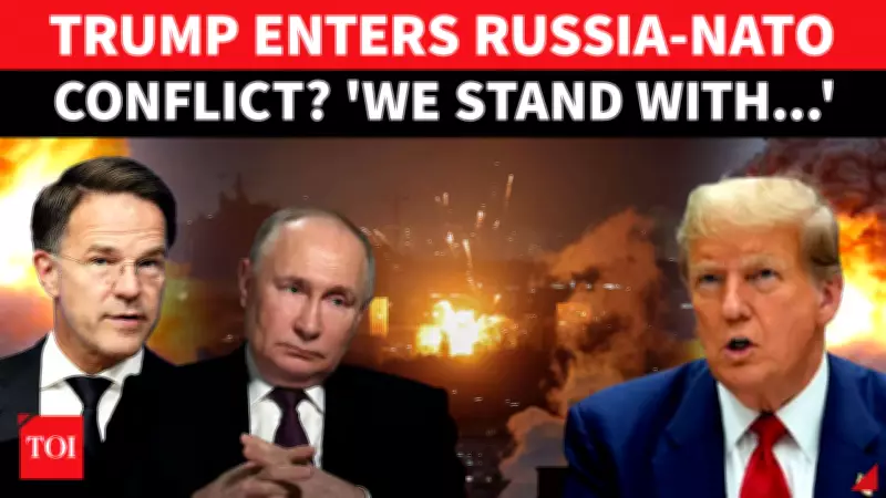 Russian Drone Strike on Romania: US and NATO Respond Amid Ukraine War Fears