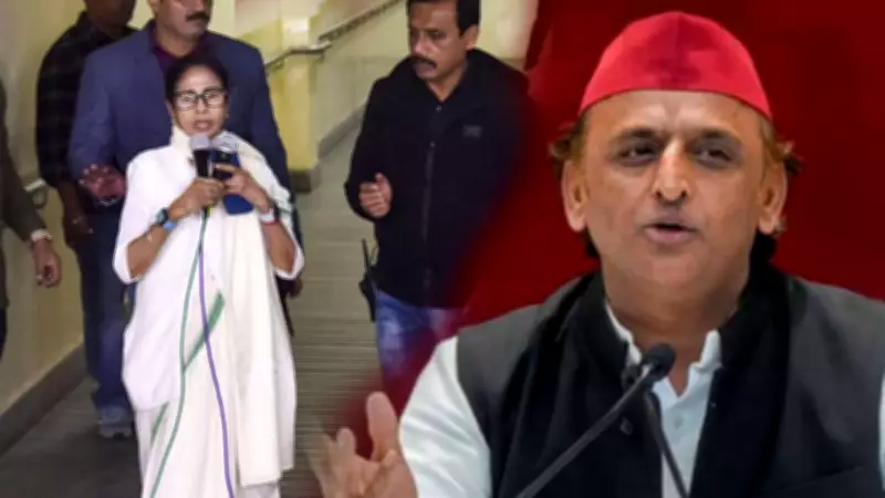Samajwadi Party Scraps I-PAC Alliance Ahead of 2027 UP Polls