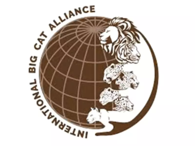 Saudi Arabia to Join India-Led International Big Cat Alliance as 26th Member
