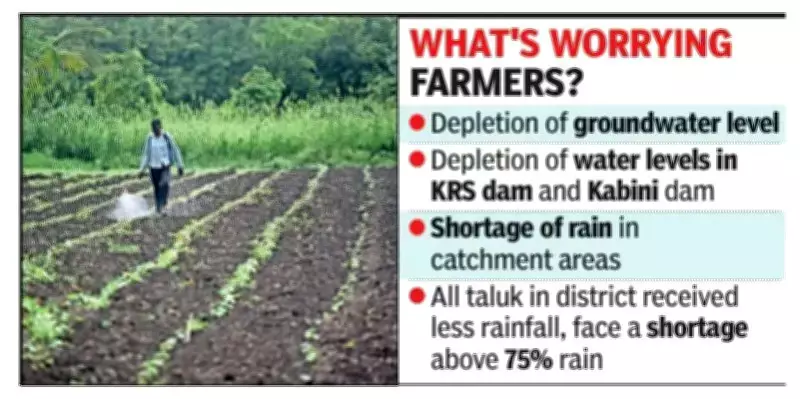 Scanty Pre-Monsoon Rain Hits Pre-Kharif Sowing in Mysuru