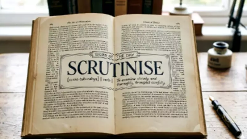Scrutinise Meaning, Origin, and Usage in Sentences Explained