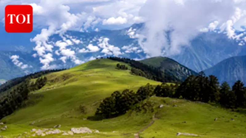 Search Launched for Missing Female Tourist in Uttarkashi's Dayara Bugyal