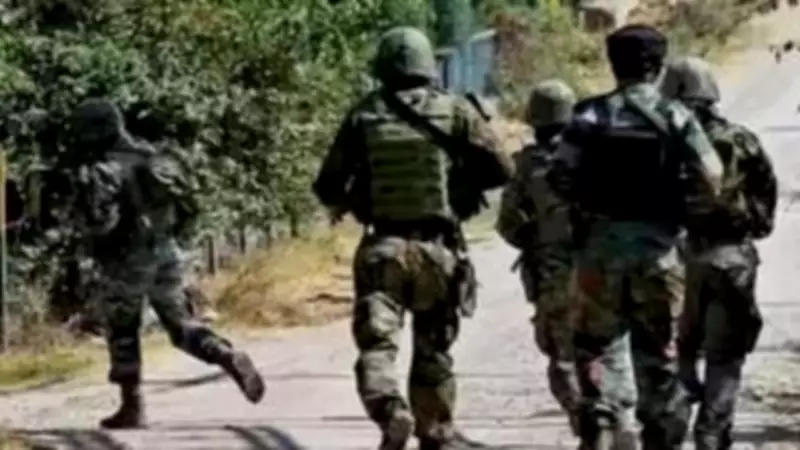 Security Forces Launch Multi-Area Search Operation in Poonch District