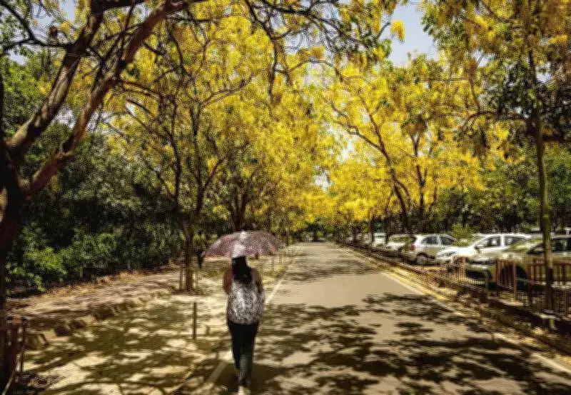 Severe Heatwave Continues in North India, Relief Expected from May 29