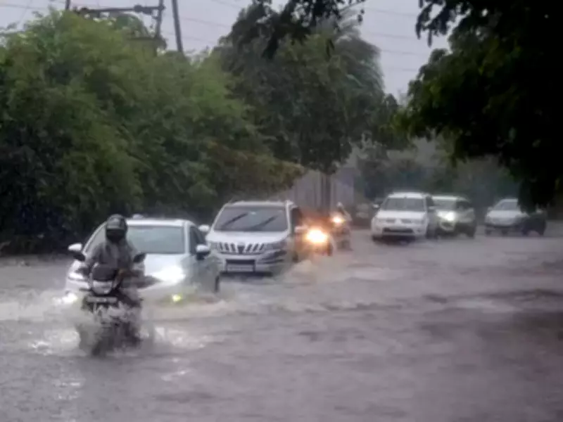 Severe Storm in Lower Assam Injures 12, IMD Warns of Heavy Rain